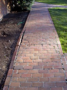 Brick Pavers before Sewer Line Replacement
